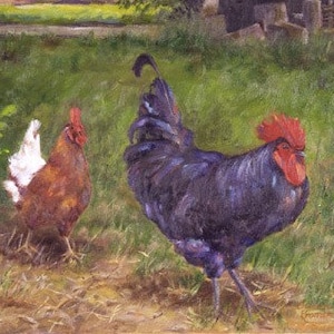 Chicken Painting - Giclée Print, Original Art, Matted, Rooster Painting, Hen Painting, Chicken Art, Wall Art, Farmhouse Art, Animal Art