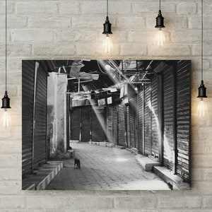 Black and white cat wall art, cat photography, street photography prints, city art, aesthetic room decor boho, home office decor for wall