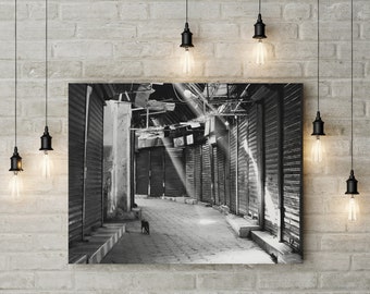 Black Cat Marrakech Print: Morocco Street Photography, City Art