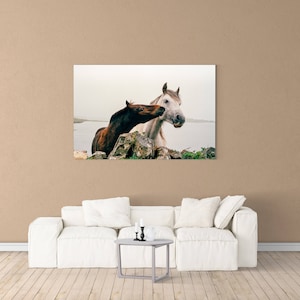 Wild Atlantic Way Horse Print: Connemara Ireland Photography image 5
