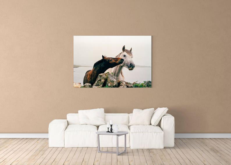 Wild Atlantic Way Horse Print: Connemara Ireland Photography image 5
