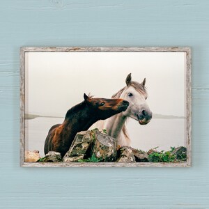 Wild Atlantic Way Horse Print: Connemara Ireland Photography image 7
