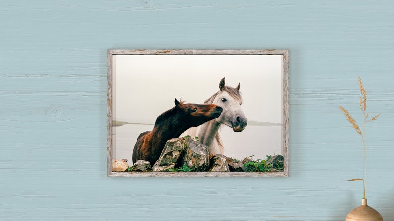 Wild Atlantic Way Horse Print: Connemara Ireland Photography image 7