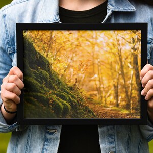 Herbst Landschaftsdruck, Herbst Landschaftsbilder, Herbst Fotografie Drucke, Wohnheim Dekor für Mädchen, Rustikale Wohnkultur, Geschenke, Boho Plakatkunst
