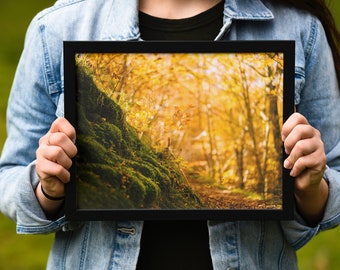 Autumn Forest Photography Print: Golden Leaves Landscape