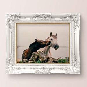 Wild Atlantic Way Horse Print: Connemara Ireland Photography image 4