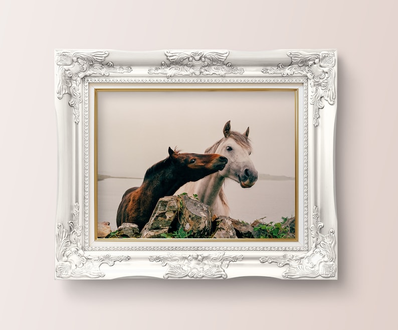 Wild Atlantic Way Horse Print: Connemara Ireland Photography image 4