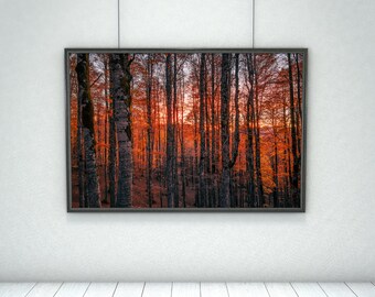 Autumn photography, cottagecore room decor, forest art print, landscape wall art, Rustic home decor, unique wedding gift, home office decor