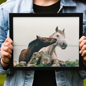 Wild Atlantic Way Horse Print: Connemara Ireland Photography image 8