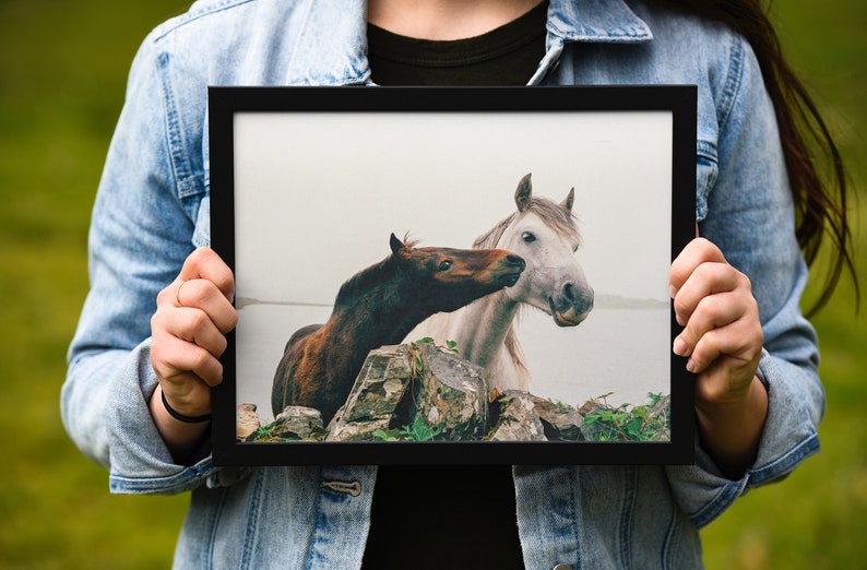 Wild Atlantic Way Horse Print: Connemara Ireland Photography image 8