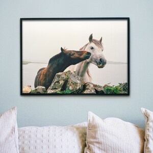 Wild Atlantic Way Horse Print: Connemara Ireland Photography image 3