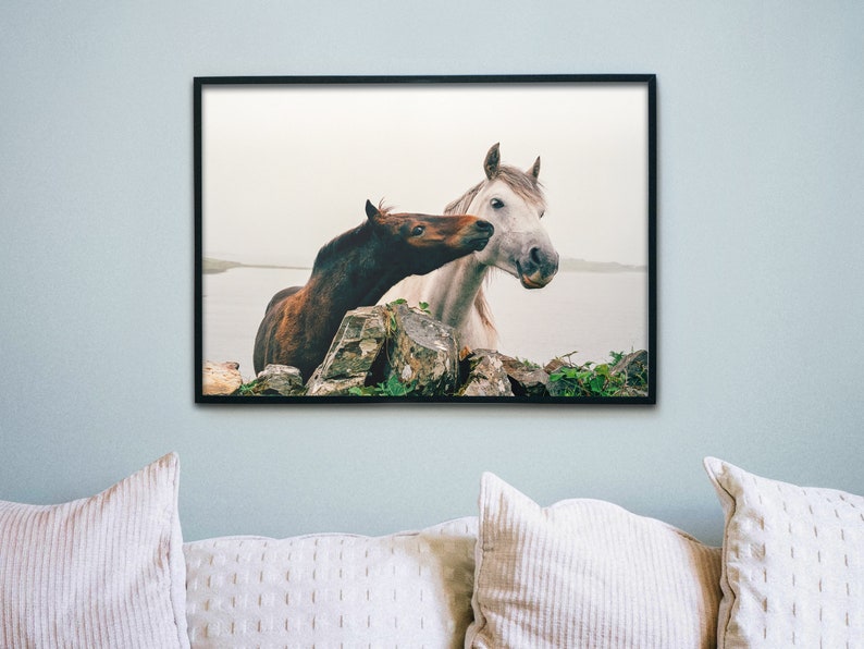 Wild Atlantic Way Horse Print: Connemara Ireland Photography image 3