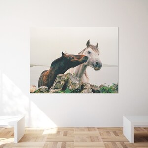 Wild Atlantic Way Horse Print: Connemara Ireland Photography image 6