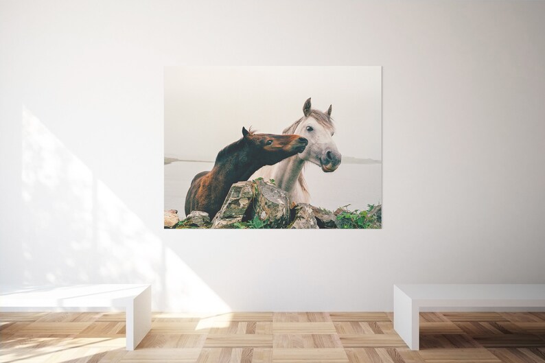 Wild Atlantic Way Horse Print: Connemara Ireland Photography image 6