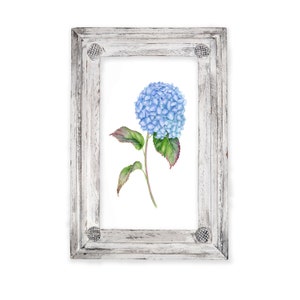 Magnifique hortensia bleu dans cadre rustique, encadrement, décoration de chalet, ferme, photo florale, décoration d'intérieur, cadeau de mariage, cadeau de pendaison de crémaillère