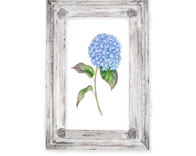 Beautiful Blue Hydrangea in Rustic Frame, Framed Art, Cottage Decor, Farmhouse, Floral Picture, Home Decor, Wedding Gift, Housewarming Gift
