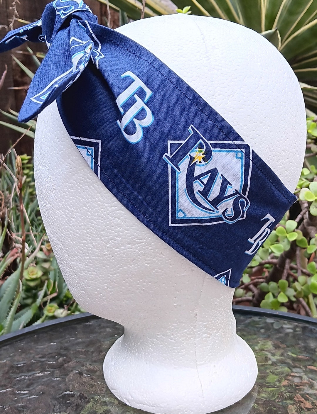 tampa bay rays tie