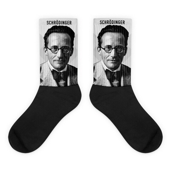 Erwin Schrodinger Socks Etsy