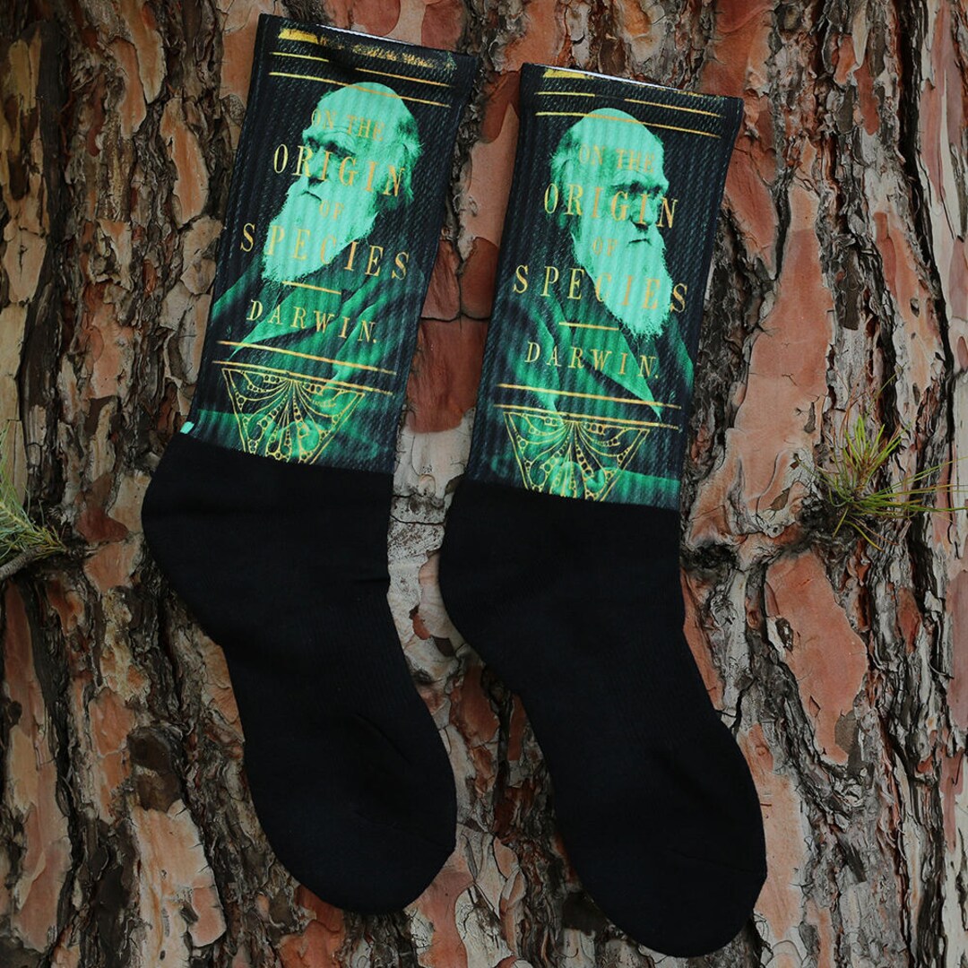 Charles Darwin Socks Origin of Species Etsy