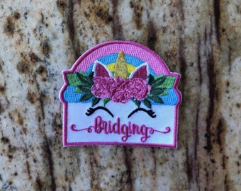 Bridging Unicorn Fun Patch Scout Bridge End of Year Rainbow