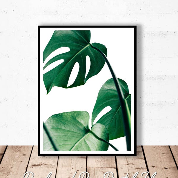 Monstera Print, Monstera Leaf Art, Monstera Wall Art, Monstera Printable, Monstera Art Print, Monstera Art,  Botanical Printable Digital