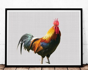 Rooster Print, Rooster Photography, Farm Animals Print, Farm Nursery Art, Digital Print, Printable Poster, Nursery Animals, Rooster Art