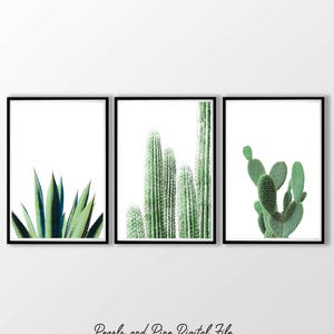 Cactus 3 Print Set | Succulent Art | Botancial Prints | Cactus Art | Agave Print