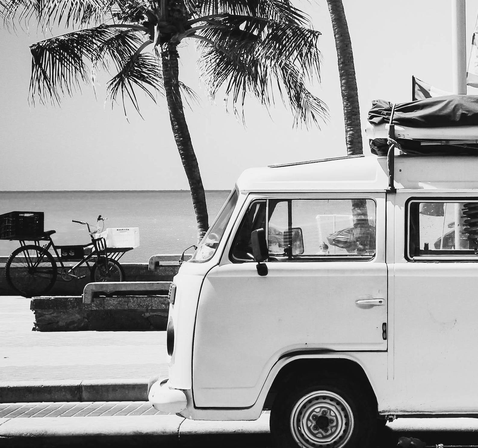 Modern Beach Van Decor, Modern Minimalist, Palm Tree Photography