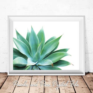 Agave Plant Print Printable Art, Cactus Wall Art, Digital Download ...