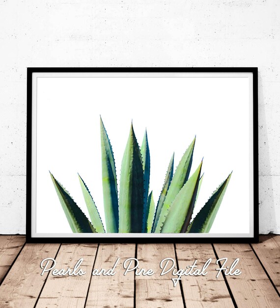 Aloe Vera Plant Cactus Print Download Aloe Wall Art Etsy