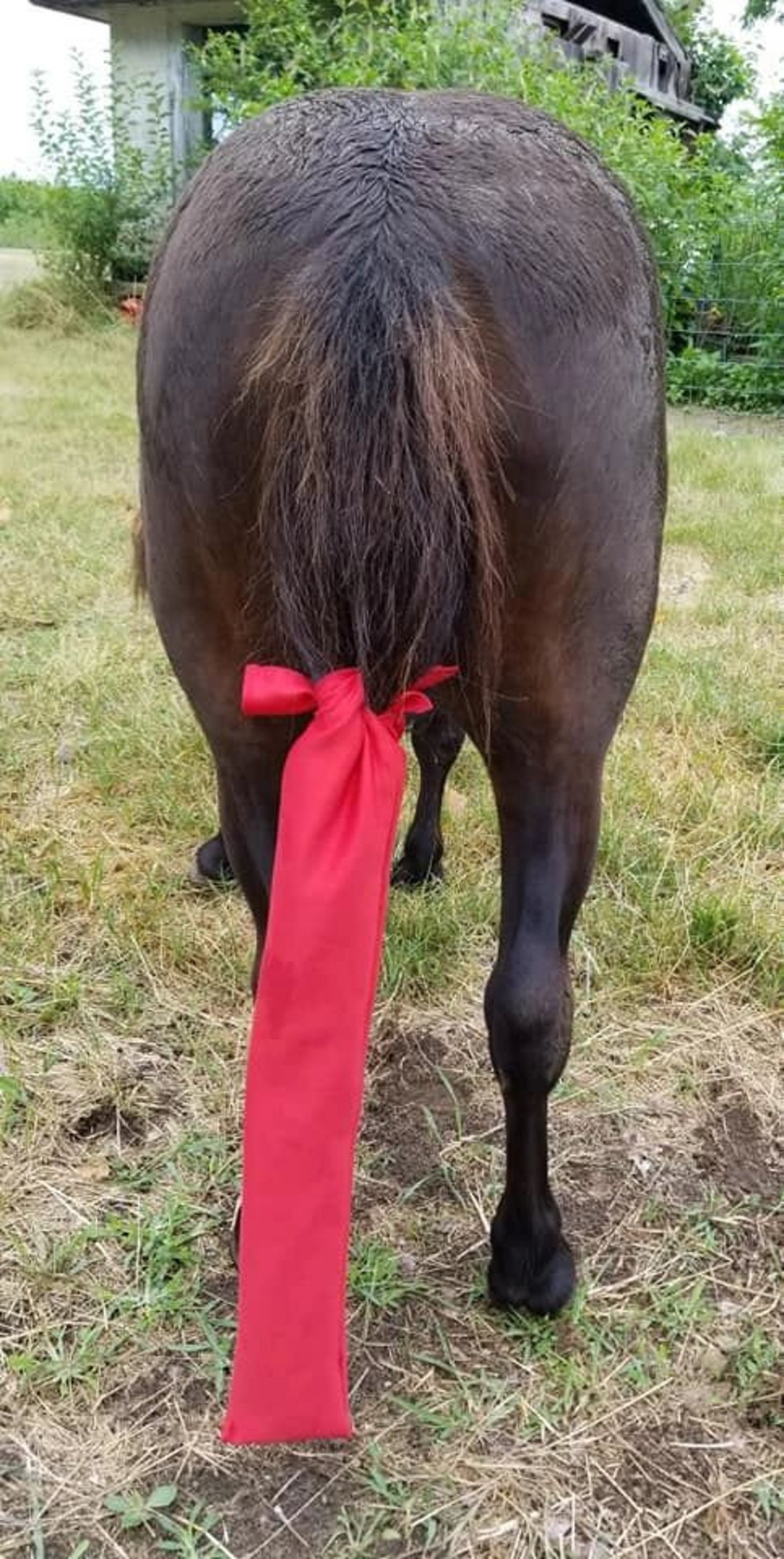 Red Horse Tail Bag Horse Tail Bag Pony Tail Bag Equestrian Etsy