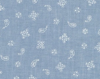 paisley denim fabric