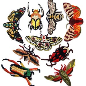 Embroidered Tapestry Insect Patches Butterfly Beetle Wasp