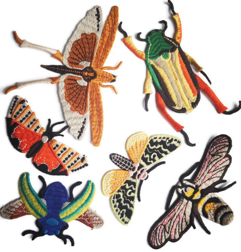 Embroidered Insect Patches Butterfly Beetle Moth Scarab Cicada | Etsy