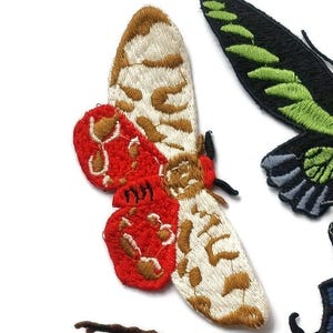 Embroidered Insect Patches Butterfly Beetle Moth Scarab Cicada Maybug ...
