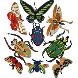 Embroidered Insect Patches Butterfly Beetle Moth Scarab Cicada  Maybug