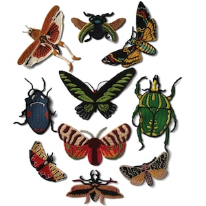 Embroidered Insect Patches Butterfly Beetle Moth Scarab Cicada  Maybug