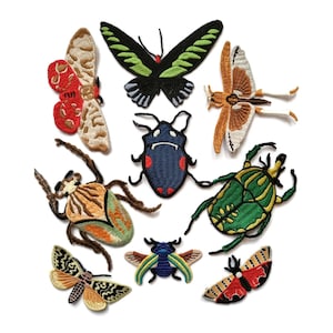 Embroidered Insect Patches Butterfly Beetle Moth Scarab Cicada  Maybug