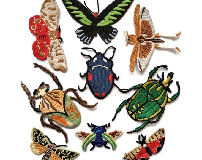 Embroidered Insect Patches Butterfly Beetle Moth Scarab Cicada  Maybug