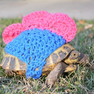 Tortoise Sweater-Stegatortoise, turtle costume, pet costumes, tortoise supplies, cute animals, dinosaur costume