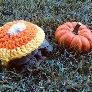 Tortoise Candy Corn Sweater, Pet Costume Party, Halloween Costume, Pet Costume, Tortoise Costume, Turtle, Custom Made