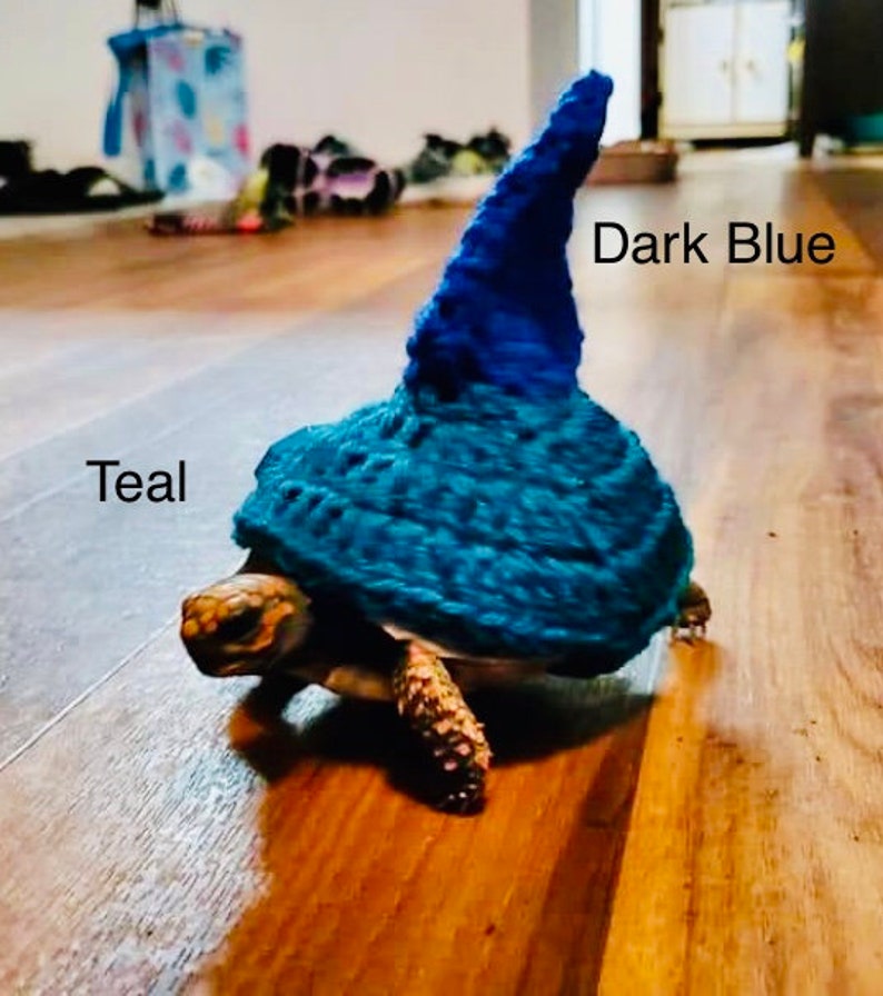 Tortoise Shark Sweater 