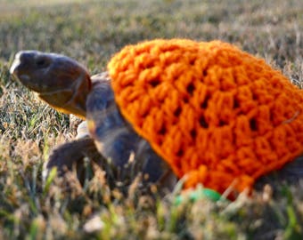 May include: A tortoise wearing a bright orange, crocheted shell cover. The tortoise is in a grassy area, with the sun shining on it. The shell cover is a vibrant orange color and appears to be handmade.