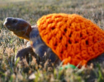 Tortoise Sweaters, pet costume, turtle sweater, cute animals, tortoise supplies, animal sweaters, turtle costume, tortoise gift