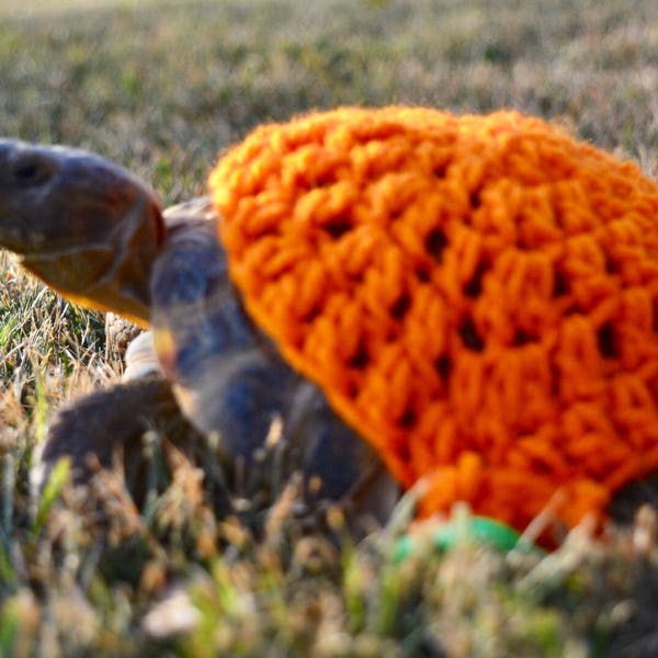 Tortoise Sweaters, pet costume, turtle sweater, cute animals, tortoise supplies, animal sweaters, turtle costume, tortoise gift