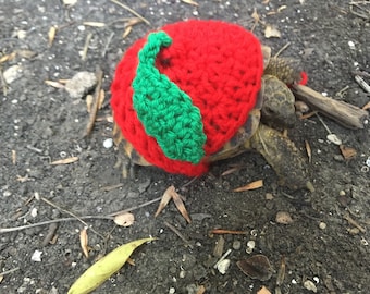 Tortoise Sweater Cherry, turtle costume, pet costume, tortoise supplies, tortoise outfit, fruit outfits for pets
