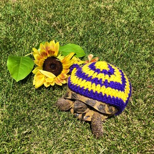 Tortoise Sweaters-target Pattern, Turtle Costume, Pet Costume, Cute ...