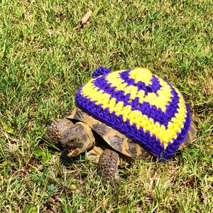 Tortoise Sweaters-Target Pattern, turtle costume, pet costume, cute animal gift, pet tortoise supplies