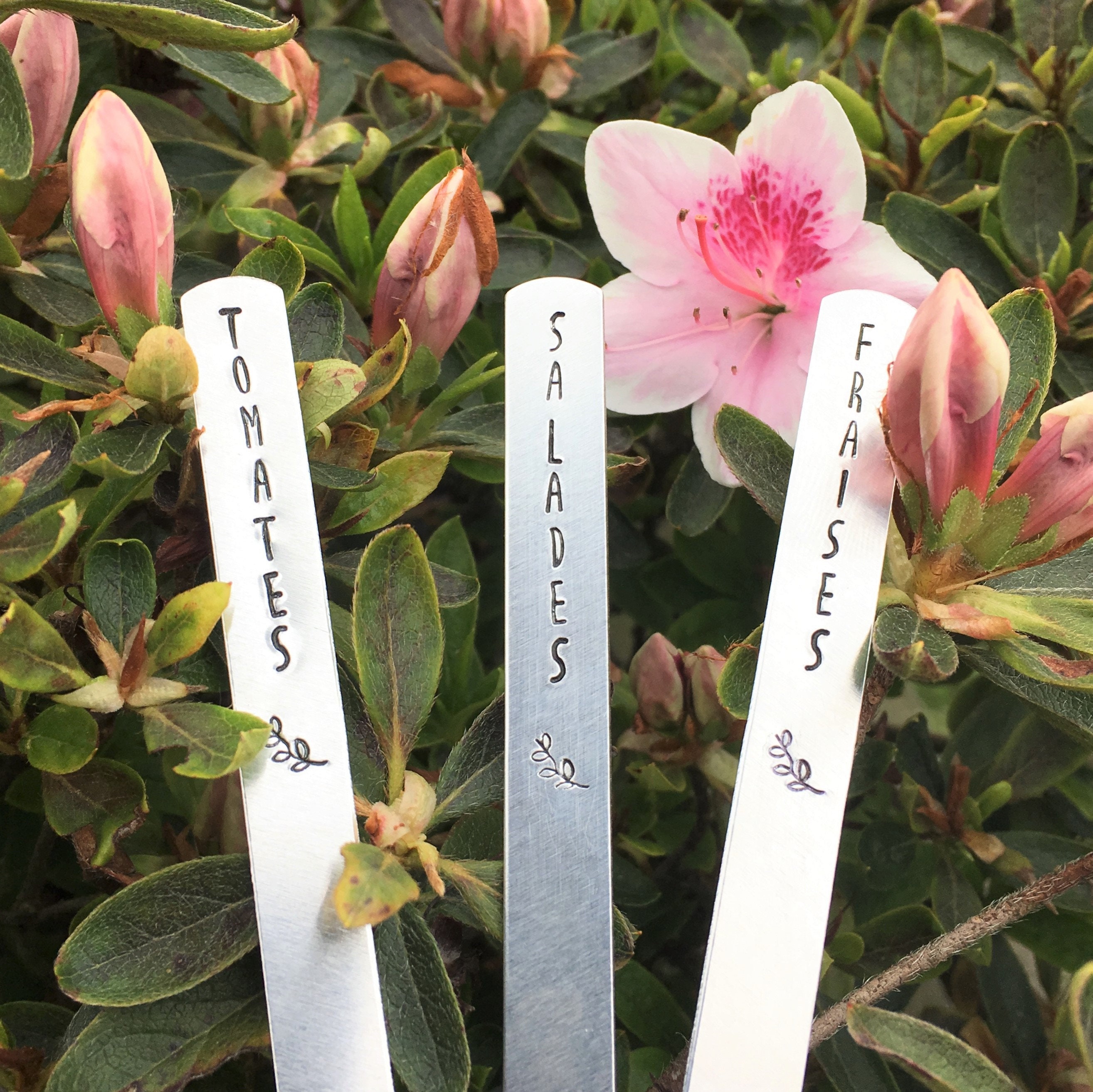 Lot de 3 Étiquettes Jardin à Personnaliser - Marqueur Plante Accessoire Pour Potager Idée Cadeau Per