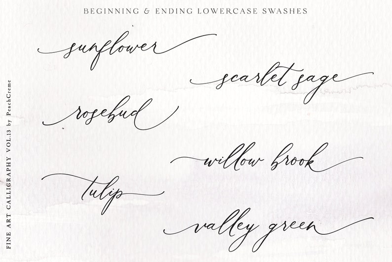 Calligraphy Font Modern Calligraphy Digital Fonts Wedding | Etsy